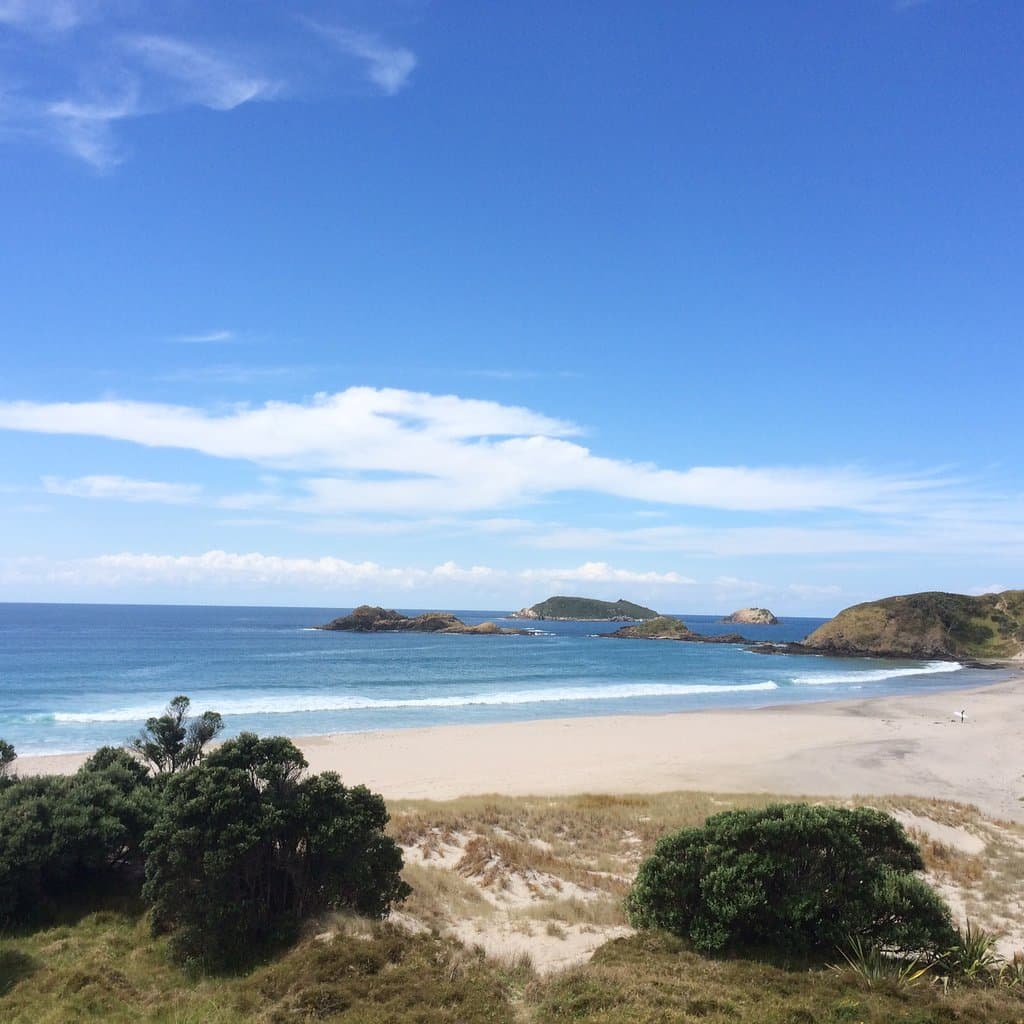 Hatea Loop Walkway Whangarei