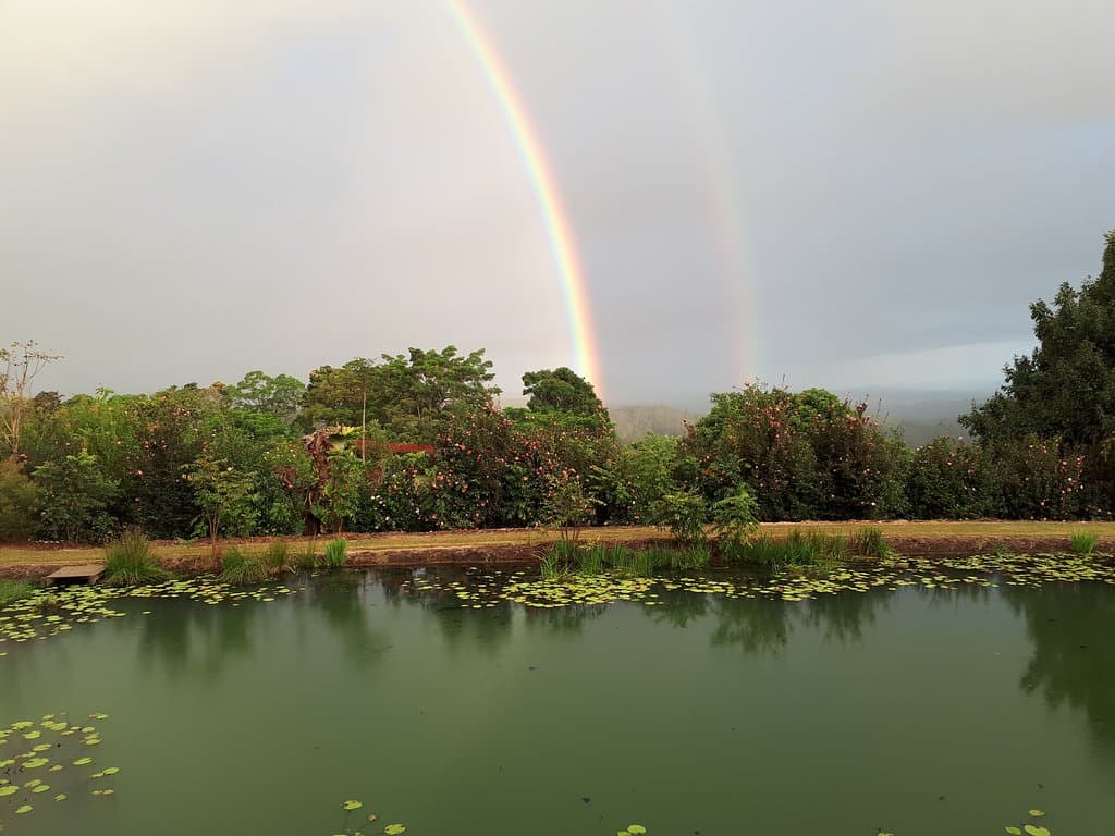 Maroochy Bushland Botanic Garden