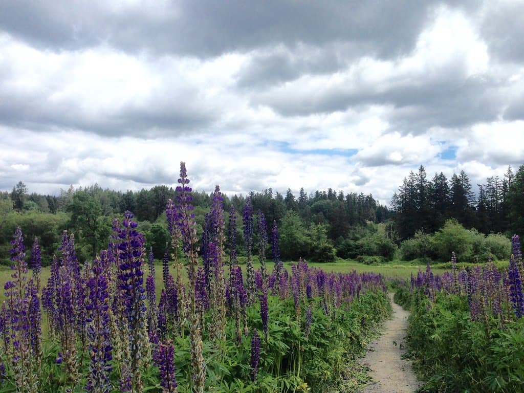 Evenestangen Nature Trail