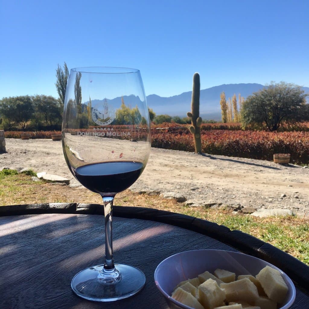 Domingo Molina Winery