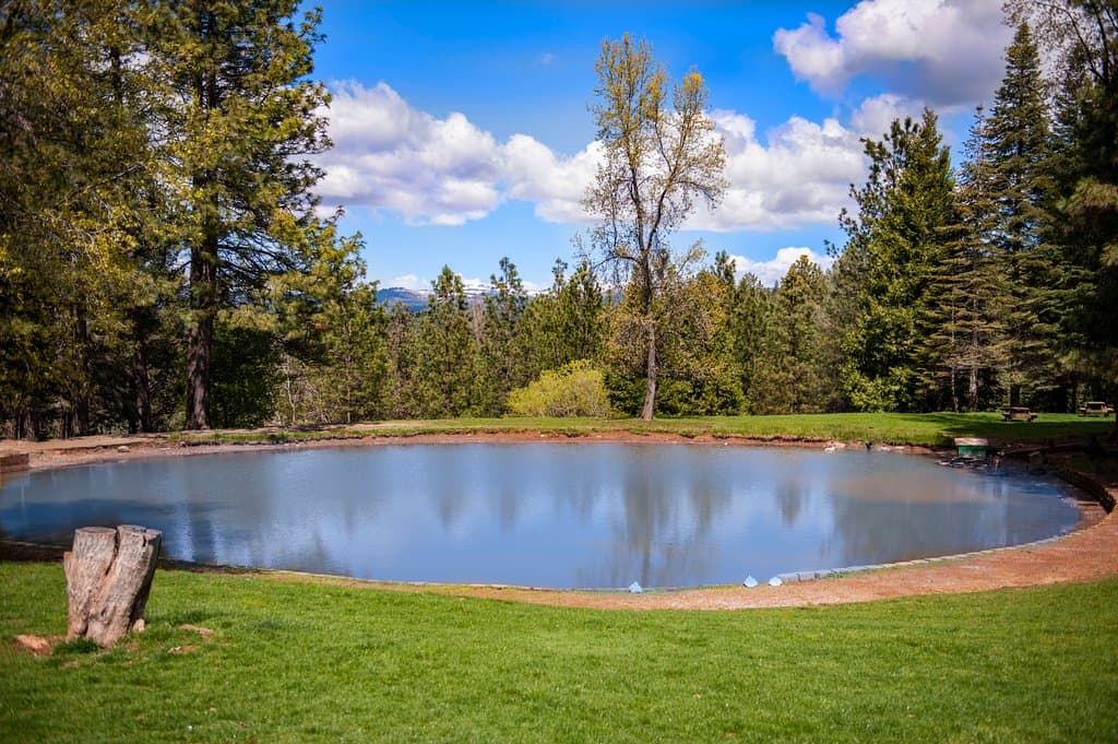 Have a picnic or go fishing at our pond with stunning views of the Sierra Mountains.