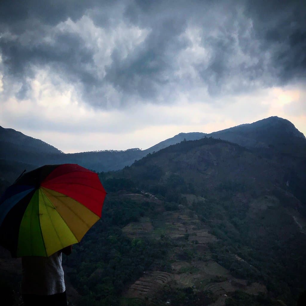 wildlife walk is worth