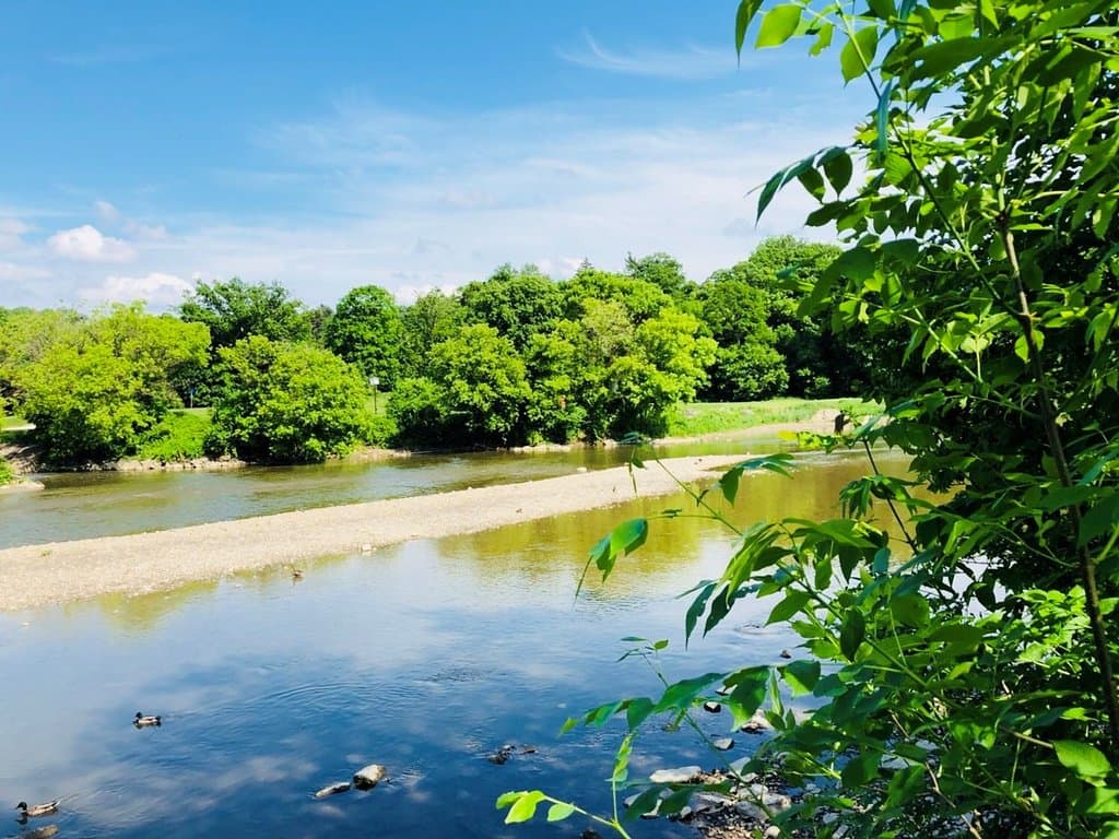 Walk the Humber Trail