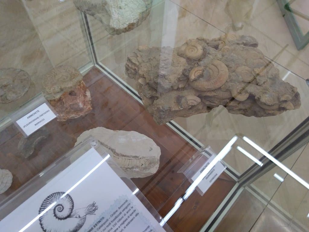 Franco Anelli Speleological Museum