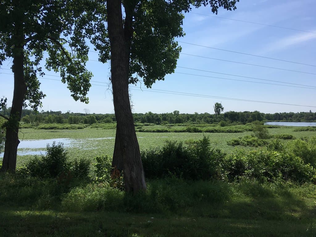 Gorgeous day at Dewey Point!