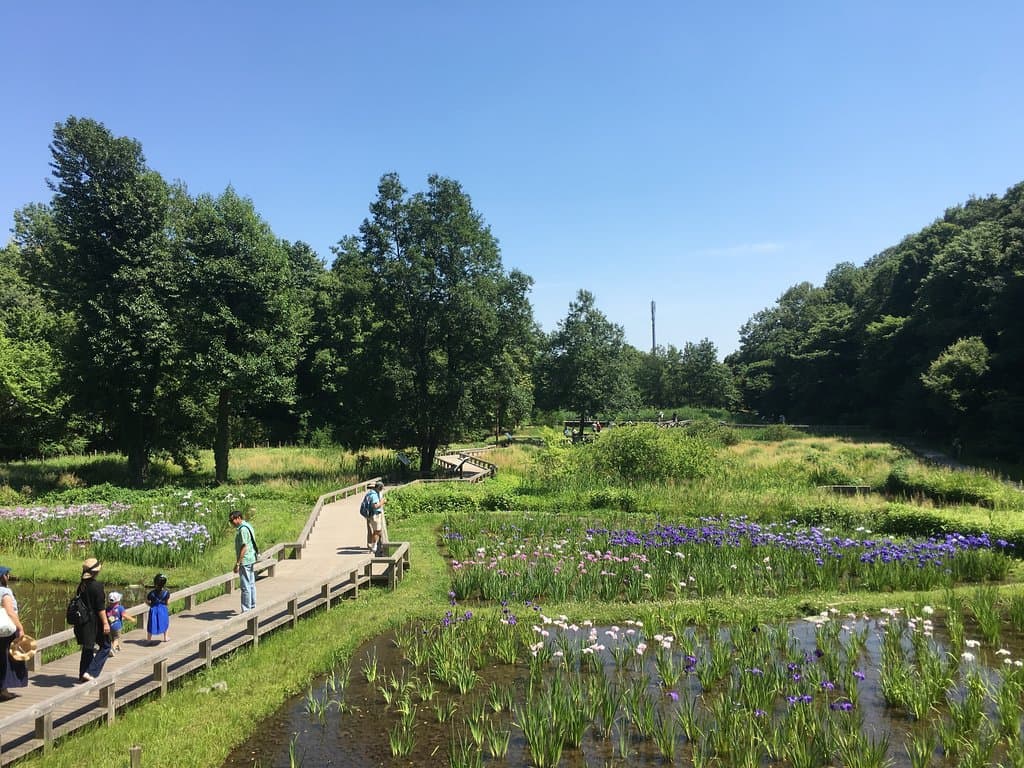 Jindai Botanical Gardens Tokyo