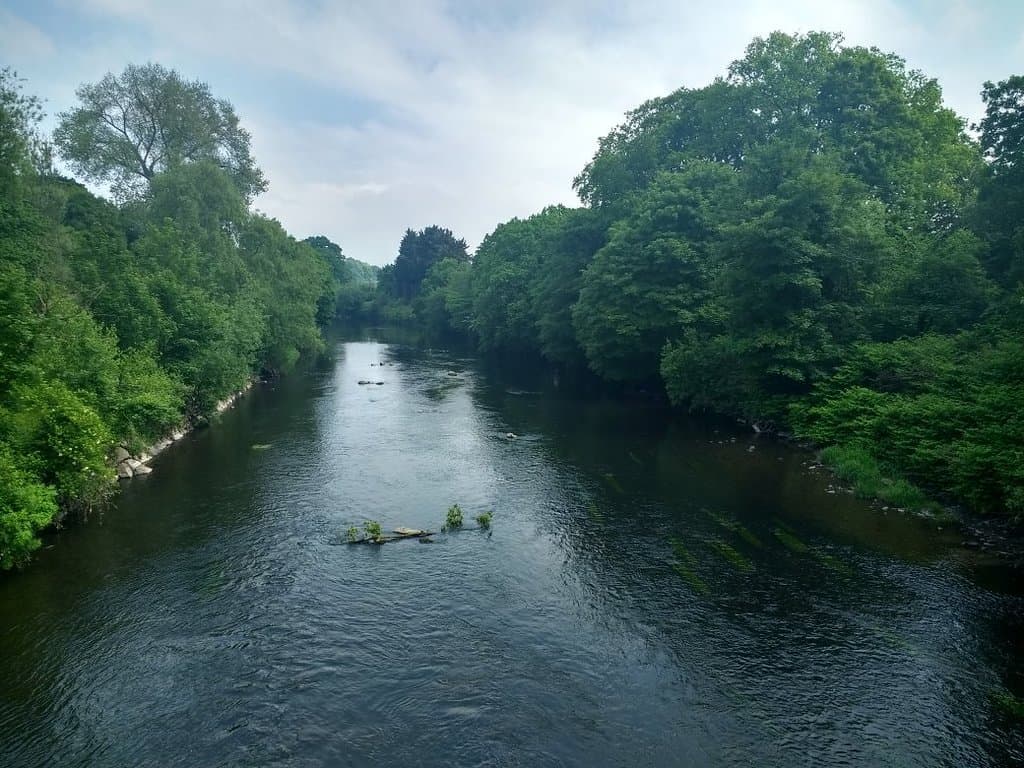 Nice place for walking and relaxing and wildlife photography