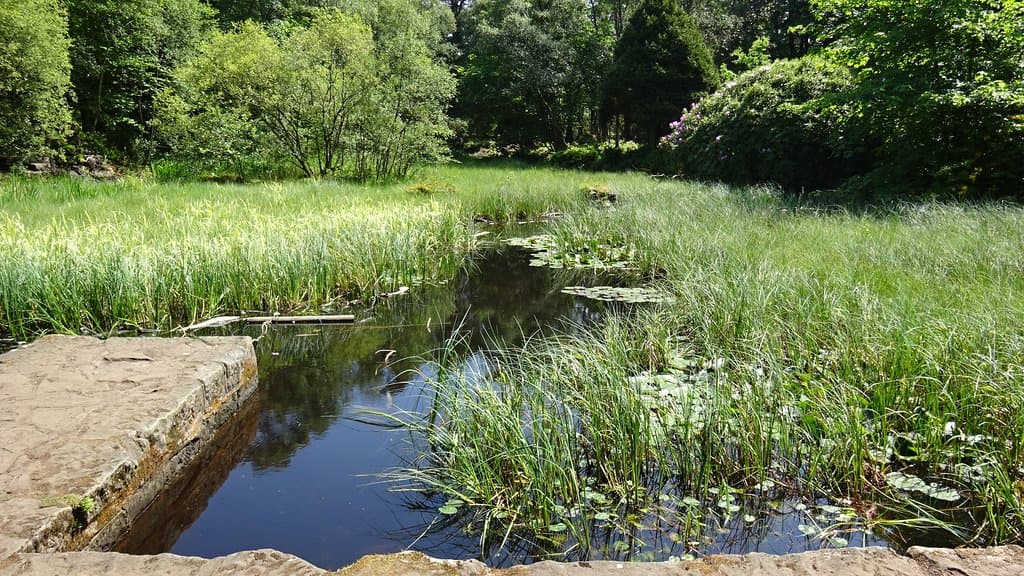 The Drowning Pond - an ancient baronial court name