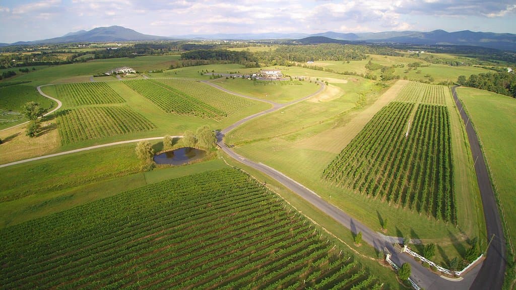 Drone footage of the property 