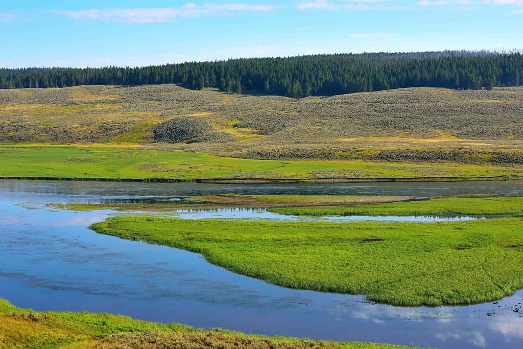 Hayden Valley Yellowstone