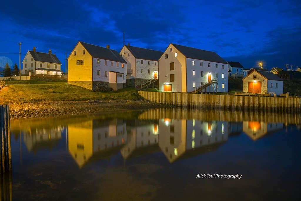 The premises by night