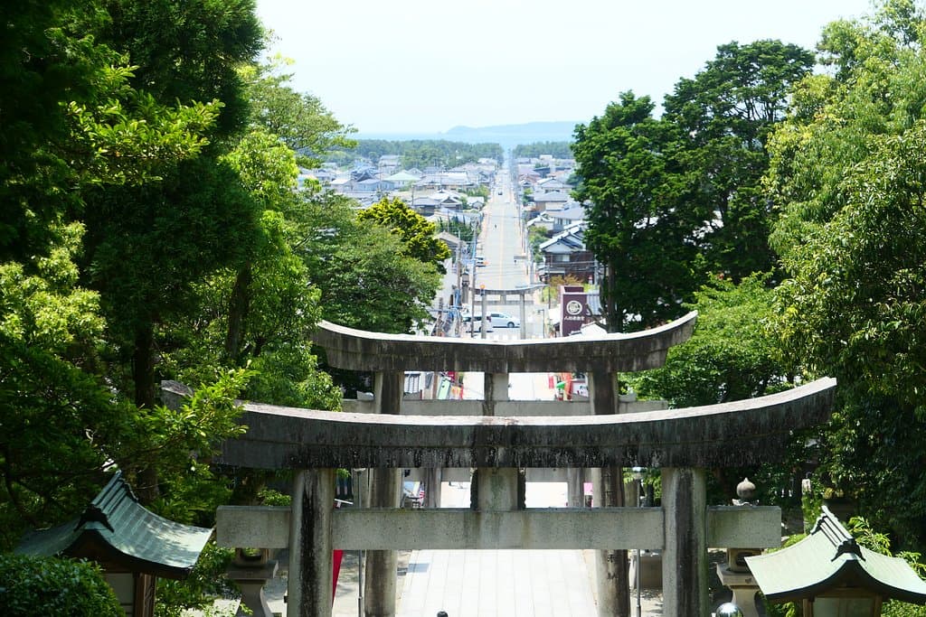 ここです。ここが有名な光の道の場所です。　昼間でも素晴らしい景色です。