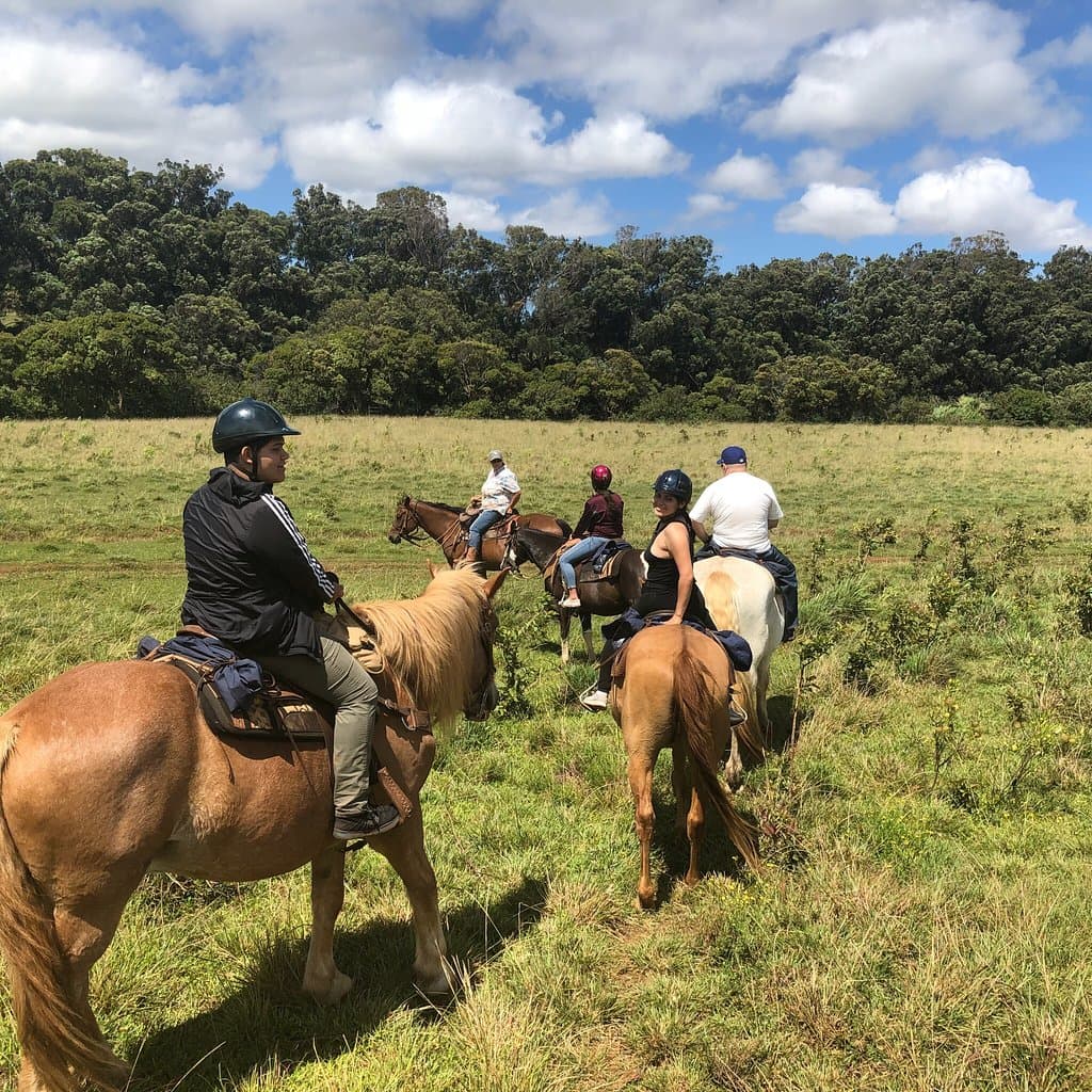 Piiholo Ranch Stables