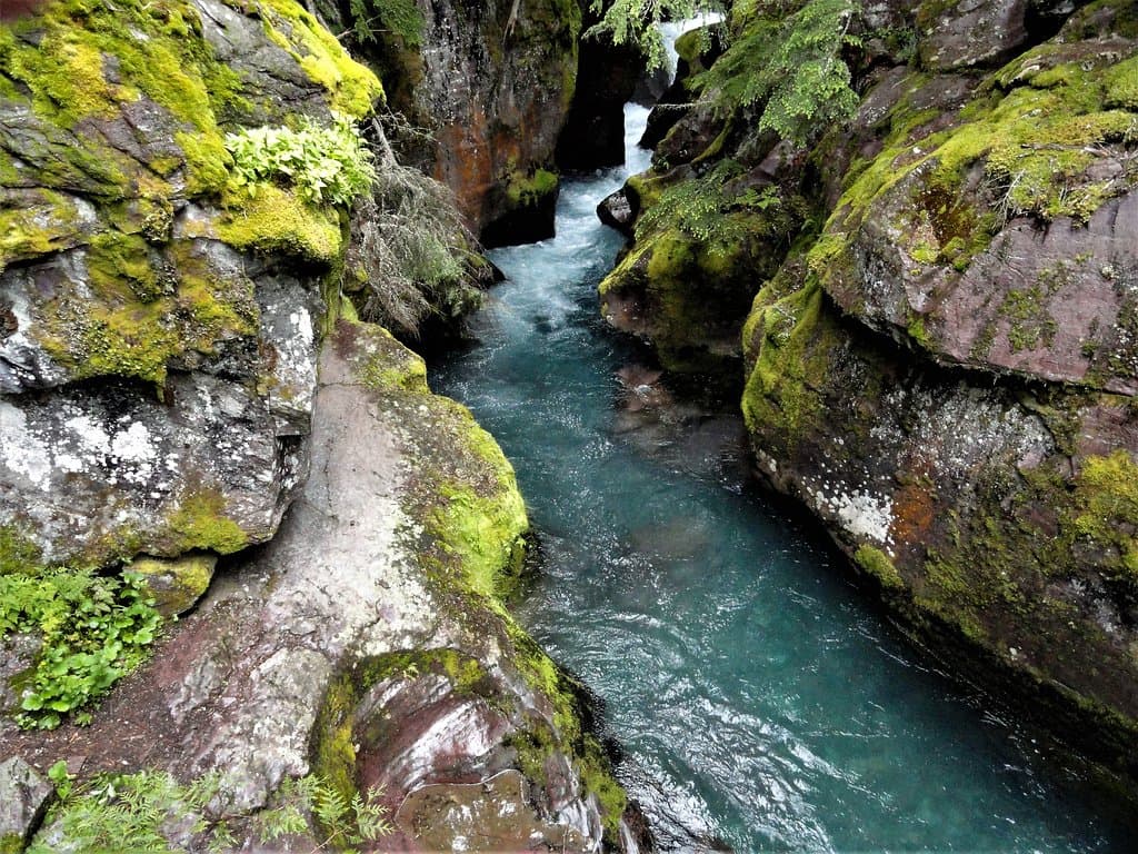 5895 Avalanche Creek