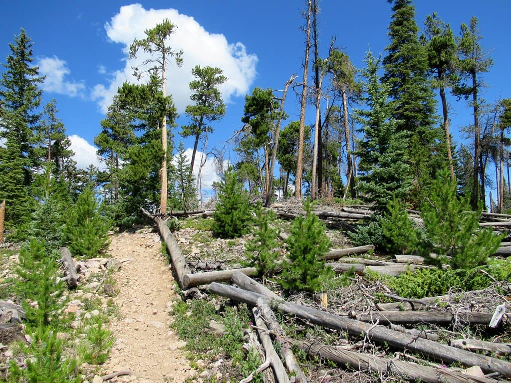 Crook Peak and Wavering Down