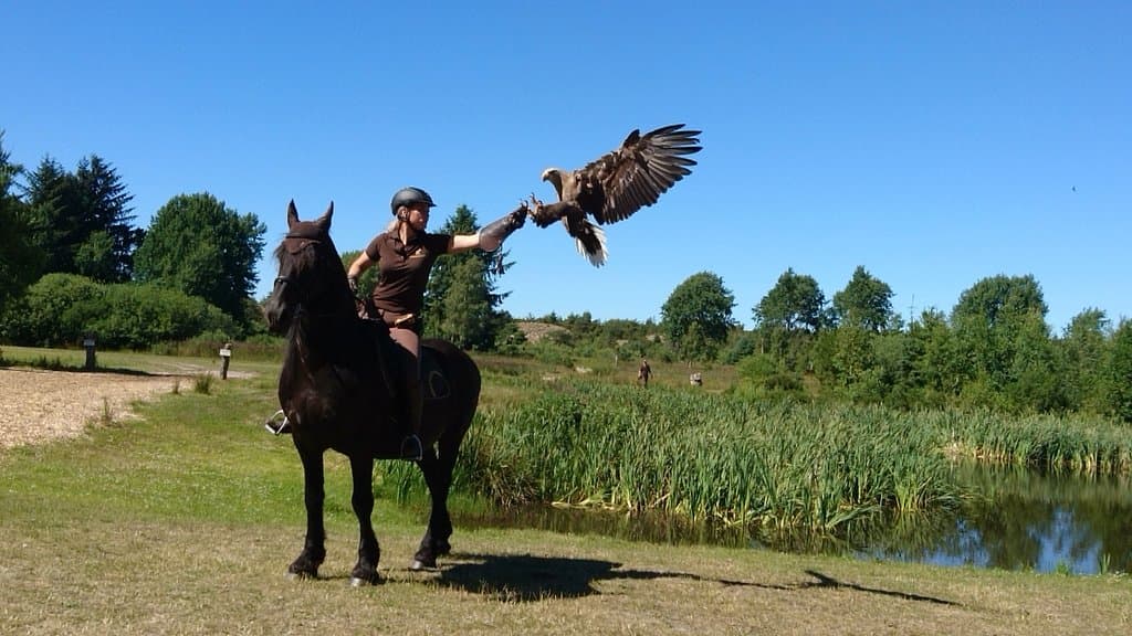 Eagle World Ørnereservatet