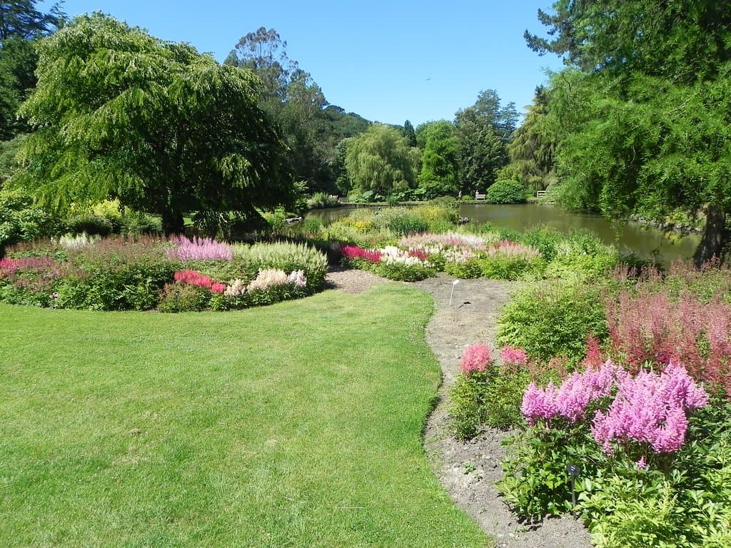 Upper lake