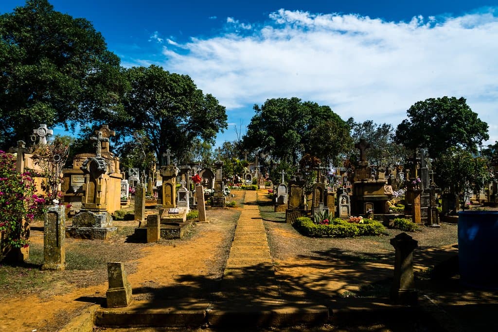 Overview of the cemetery.