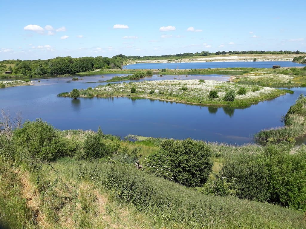 College lake view