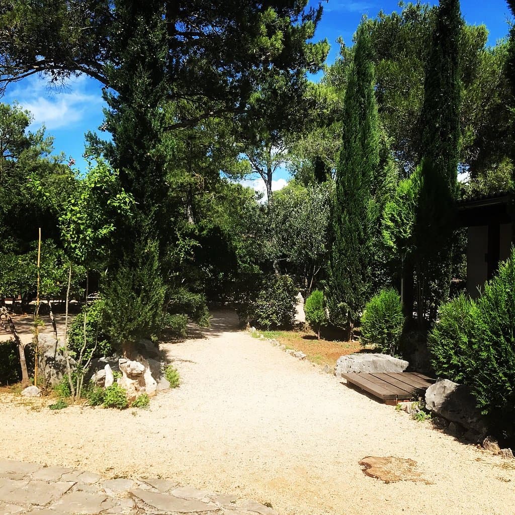 Areal super gepflegt