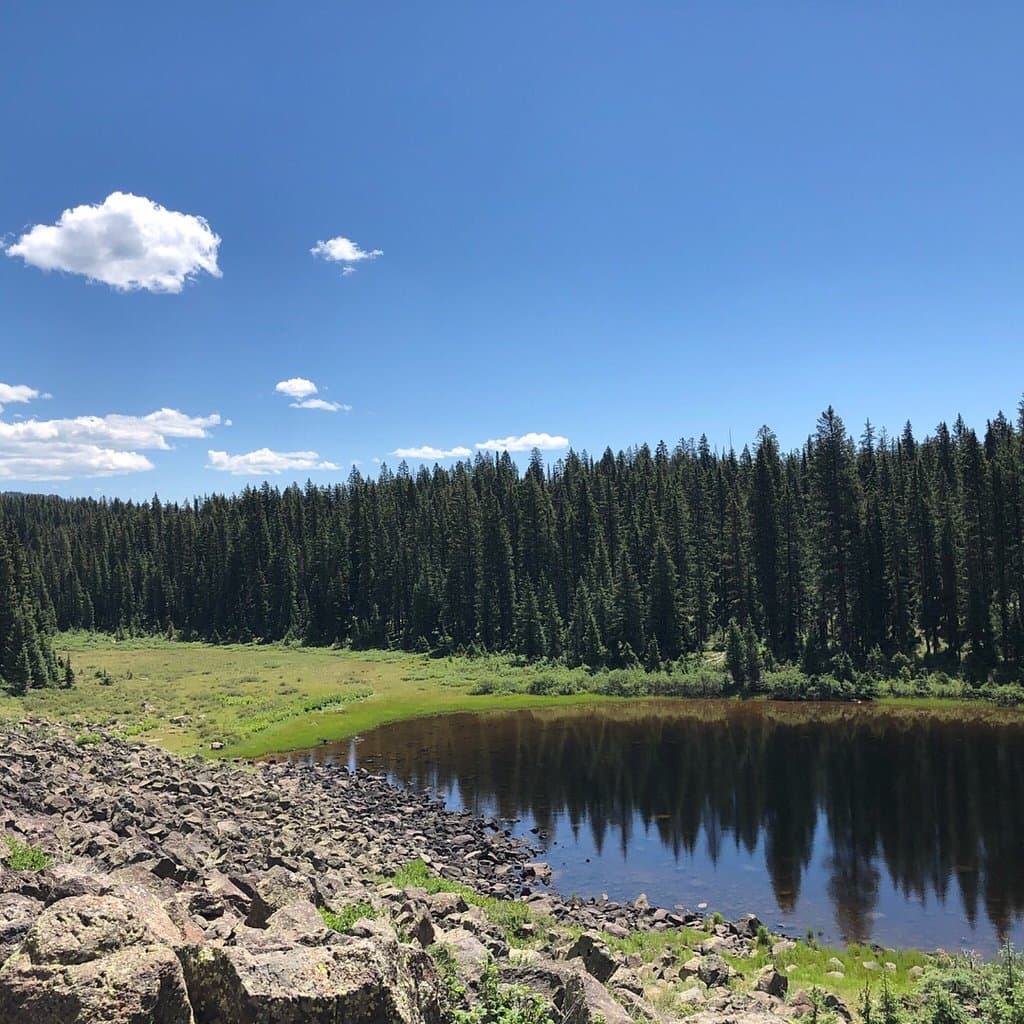 Grand Mesa National Forest