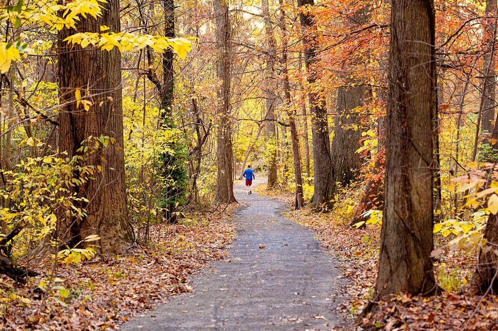 The Old Forest State Natural Area has more than eight miles of trails.