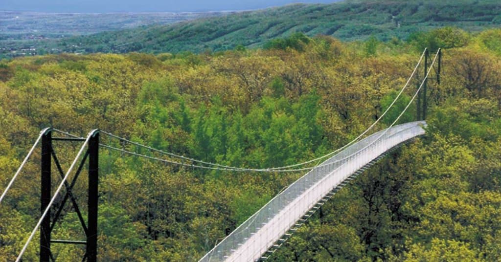 Iconic 420 ft. Suspension Bridge