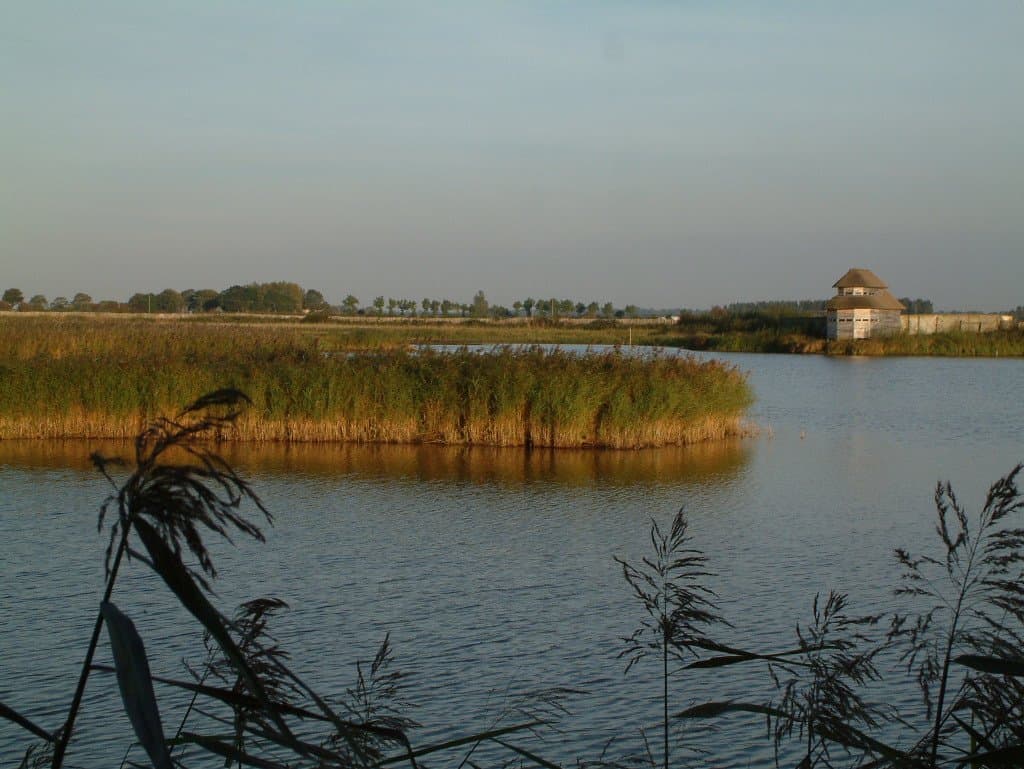 Espace naturel sensible des marais des Ponts d'Ouve, le grand observatoire