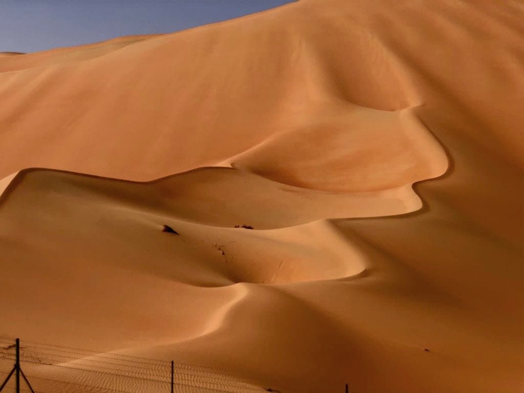 Beautiful desert in Liwa oasis