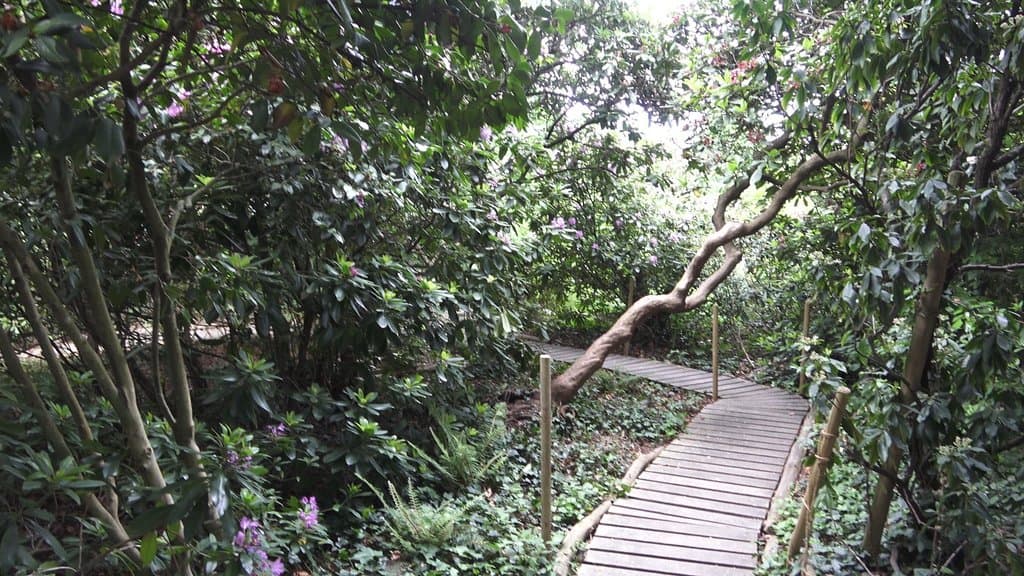  Alter Botanischer Garten