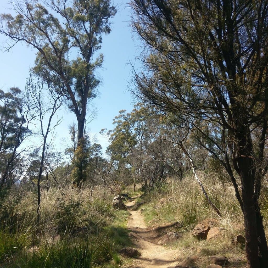 Kate Reed Nature Recreation Area
