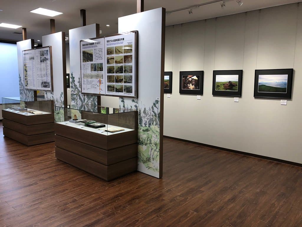 資料展示