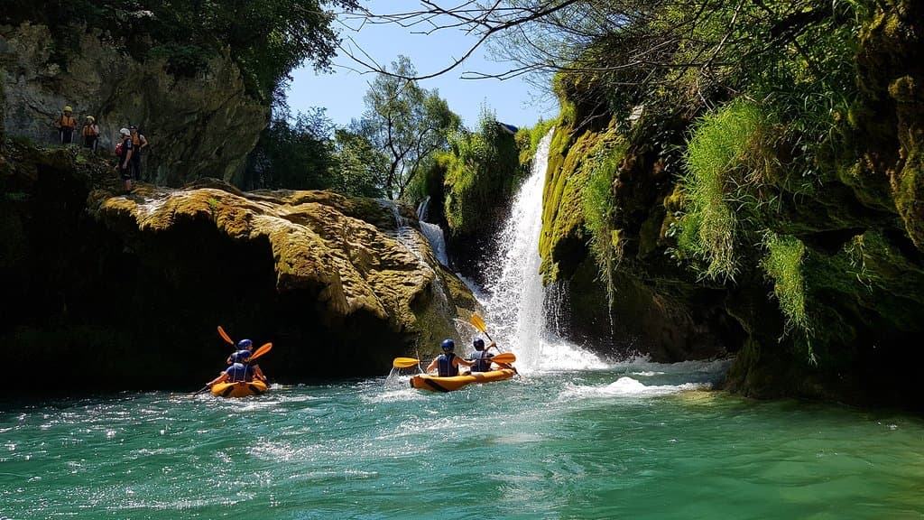 Kayak safari