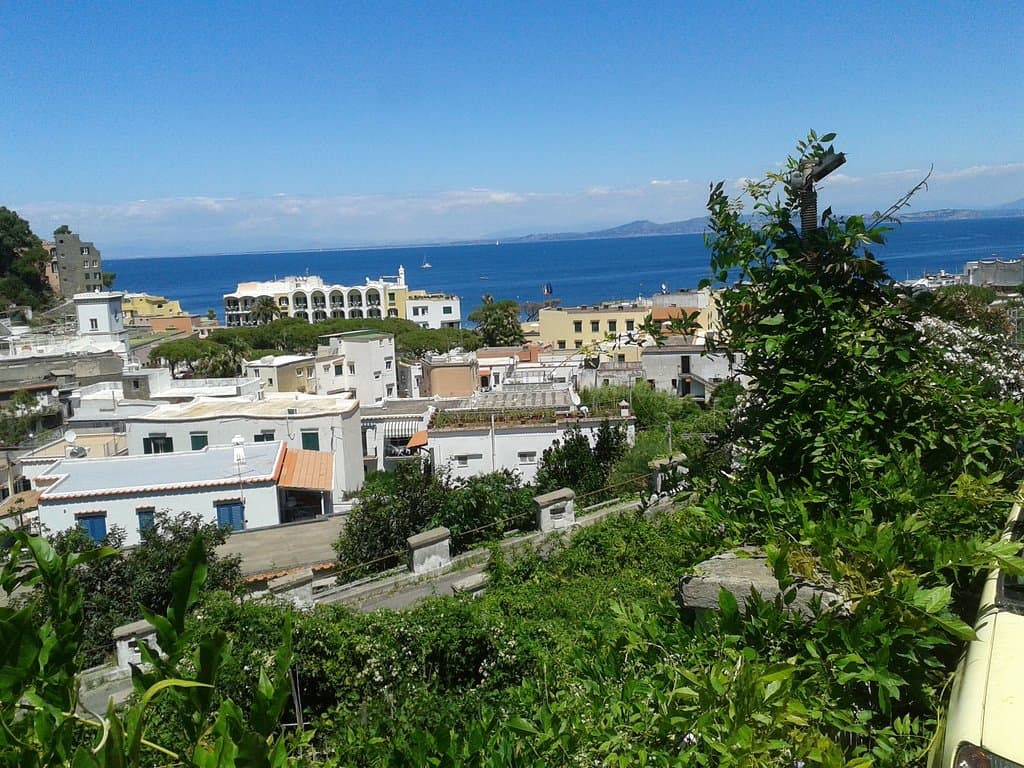 Il verde e il blu: panorama da Villa Arbusto