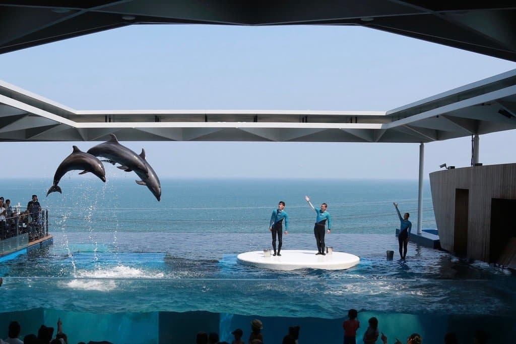 イルカスタジアム　