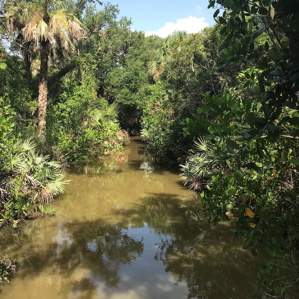Maritime Hammock Sanctuary Jensen Beach Florida