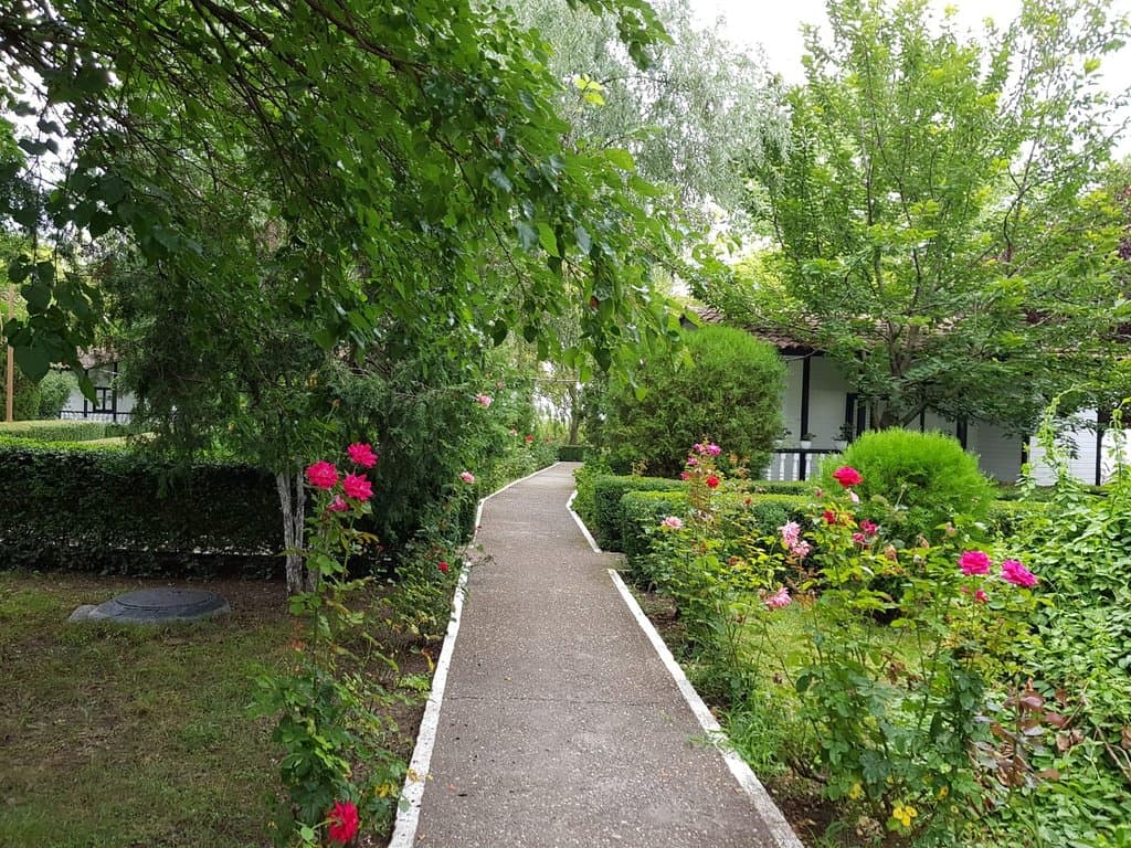 Ovidiu Island Romania