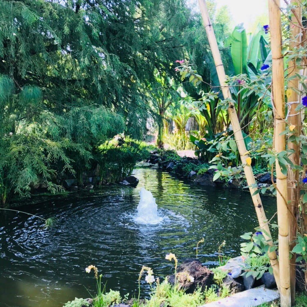 Es un lugar bastante lindo y agradable si vas temprano, no es recomendable para ir en carriola p