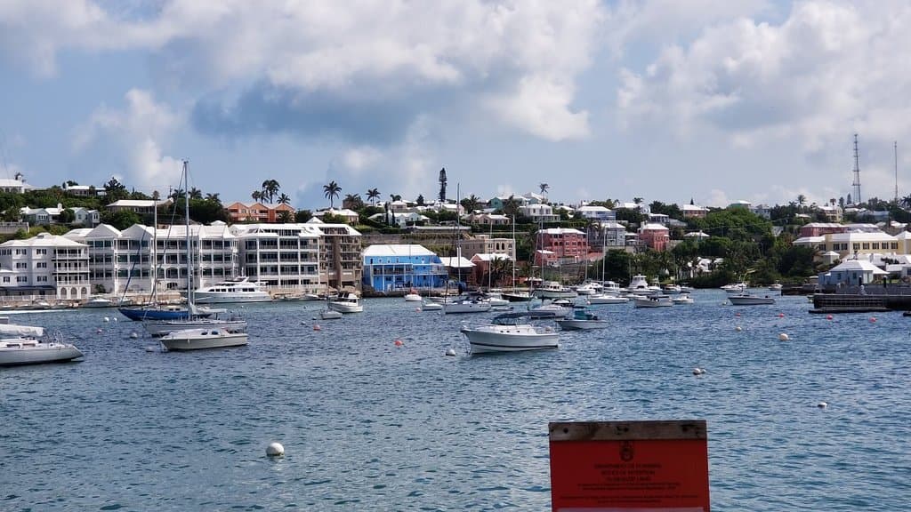 Paget Marsh Nature Reserve