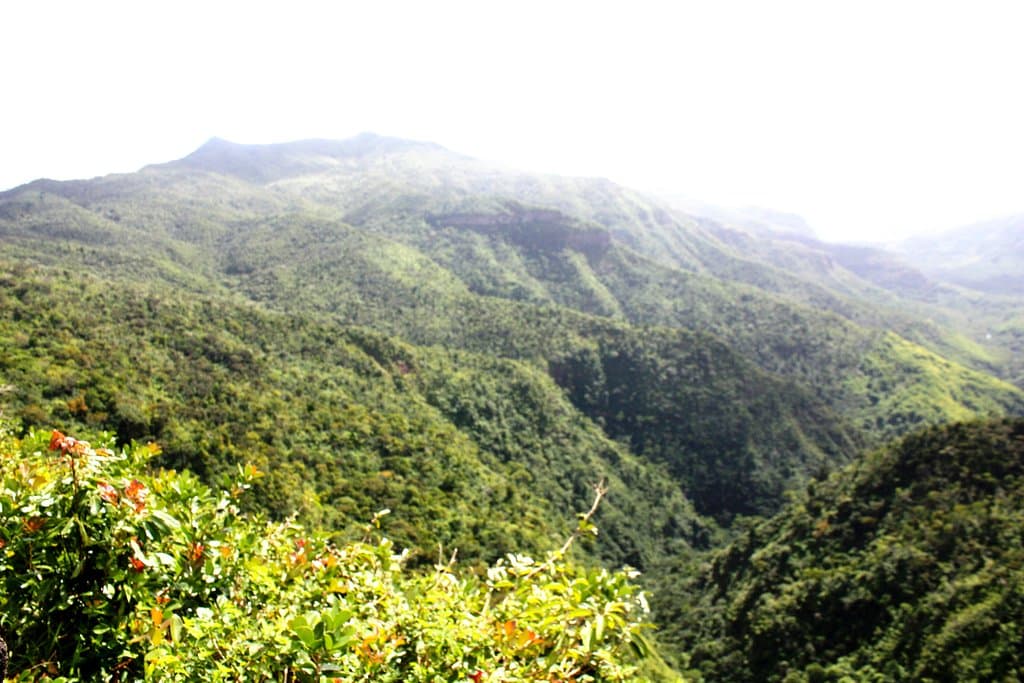Macchabée Viewpoint