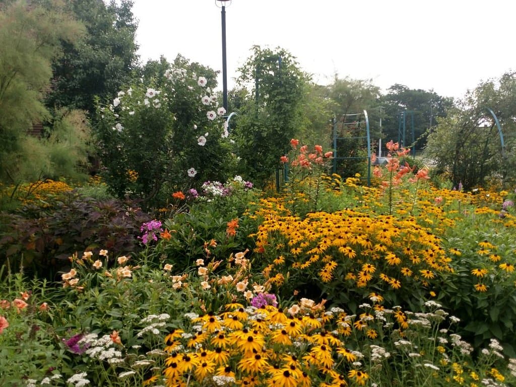 Monet Garden Muskegon