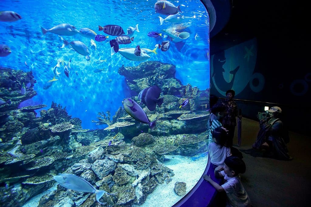 很棒的水族館