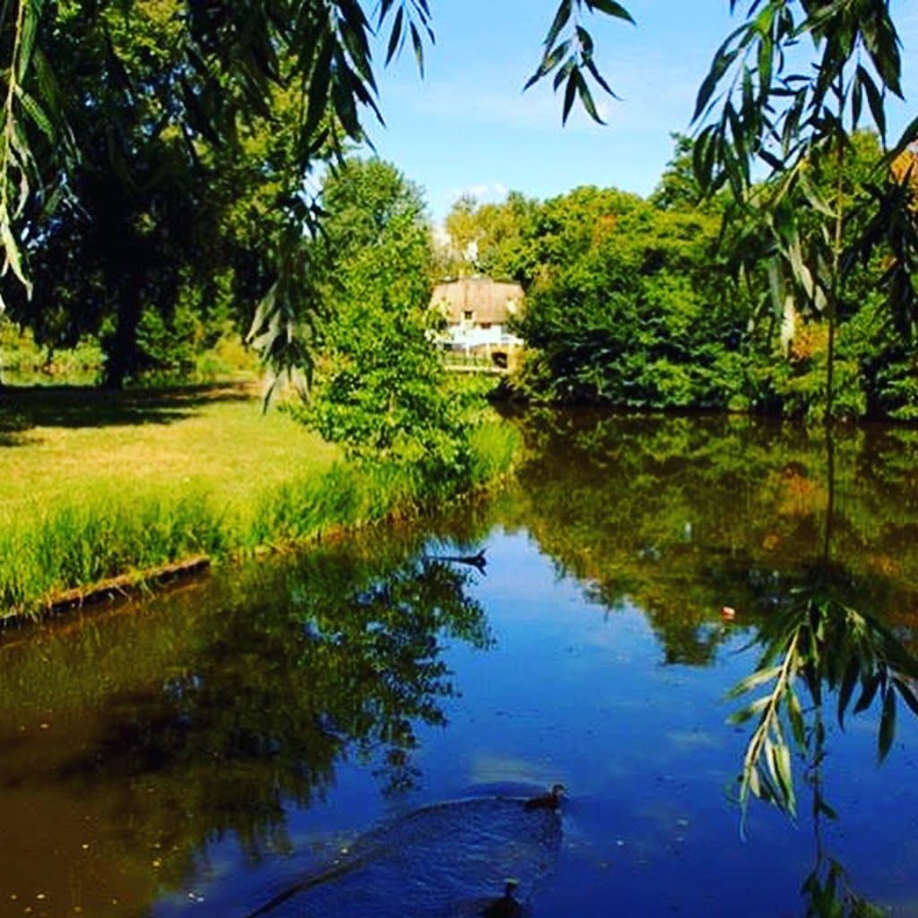 Uitkijktoren Hoge Bergse Bos