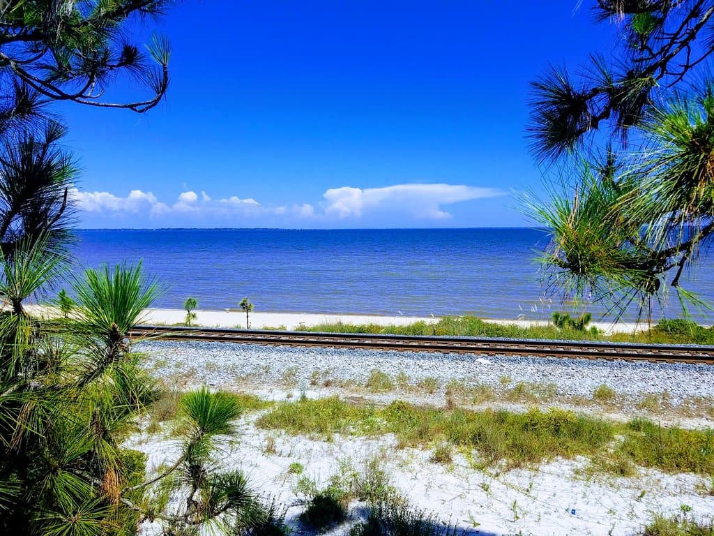 A view from the boardwalk