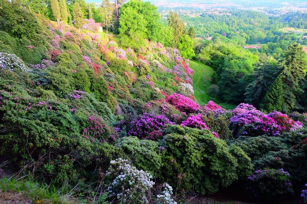 Parco Burcina Felice Piacenza