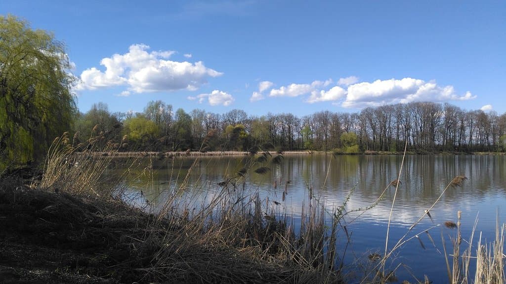 Porubské Ponds Nature Reserve