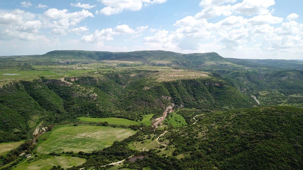 Cañada de la Virgen; canyon of the Virgen River