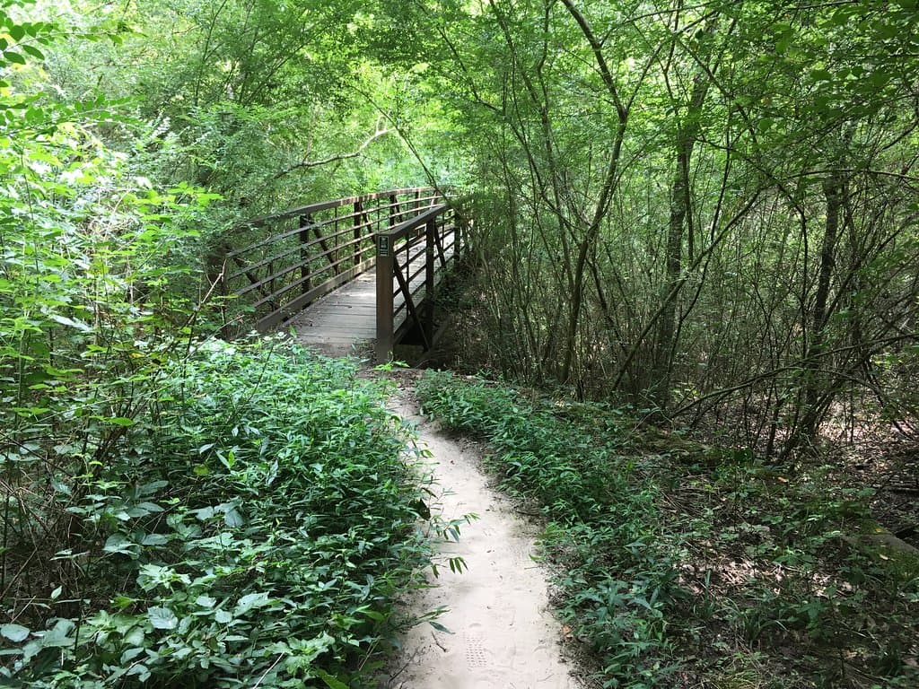 Bridge across the small creek