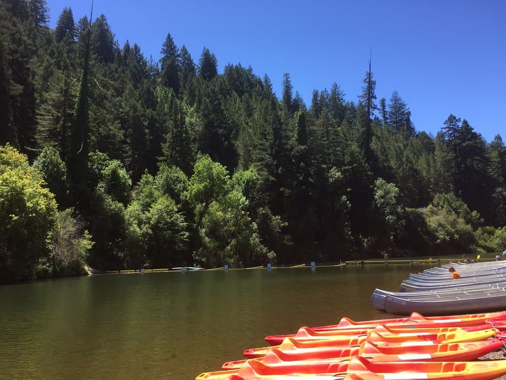 Canoes and kayaks