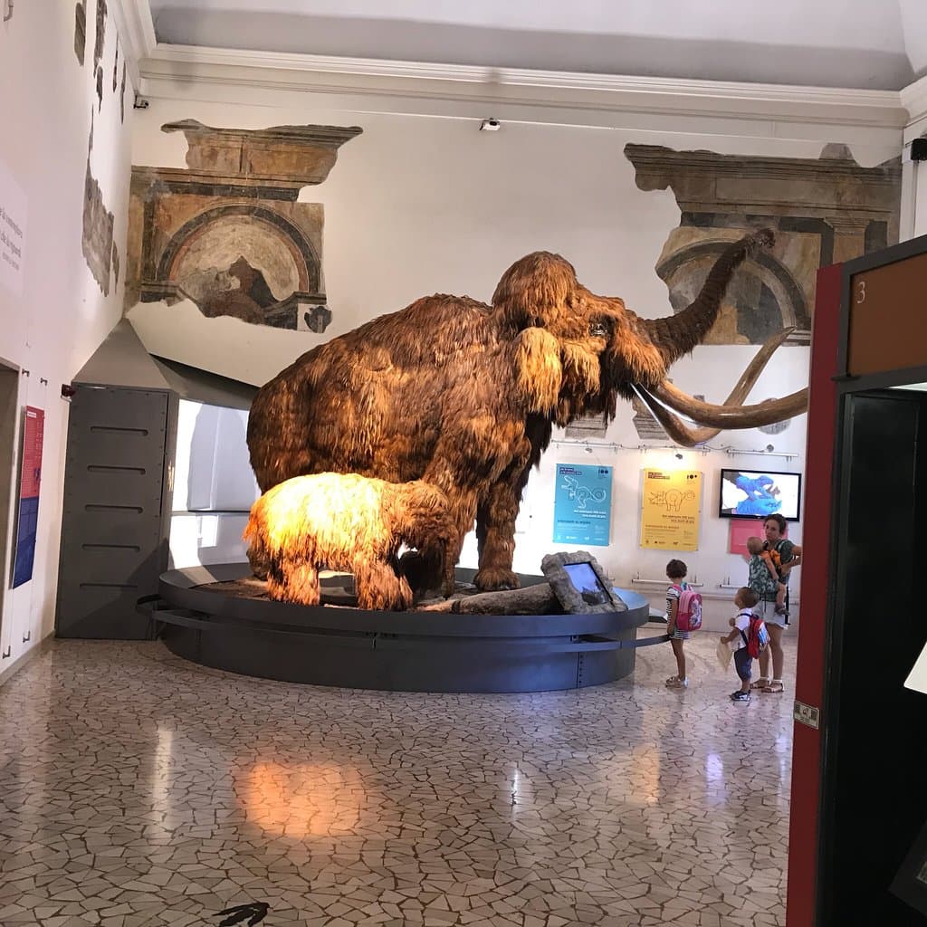 Museo di Scienze Naturali Enrico Caffi